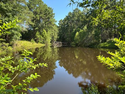 Land for sale in Trinity County, Texas