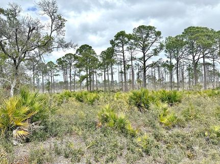 Land for sale in Levy County, Florida