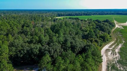 Land for sale in Early County, Georgia