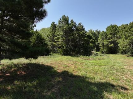 Undeveloped Land for sale in Upshur County, Texas