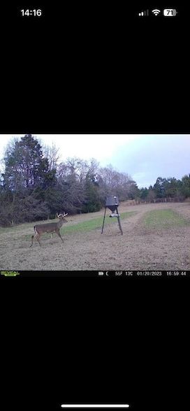 Land for sale in Barbour County, Alabama