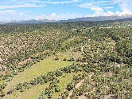 Timberland Property for sale in Taos County, New Mexico