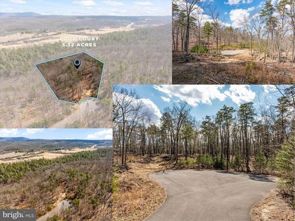 Undeveloped Land for sale in Frederick County, Virginia