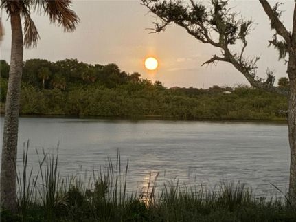 Undeveloped Land for sale in Flagler County, Florida