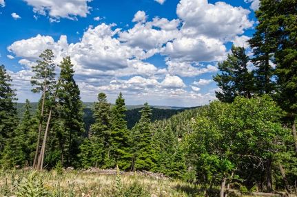 Undeveloped Land for sale in Otero County, New Mexico