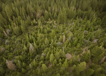 Undeveloped Land for sale in Klamath County, Oregon