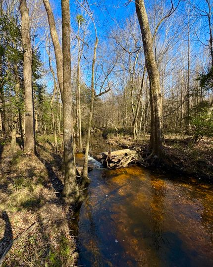 Land for sale in Johnston County, North Carolina