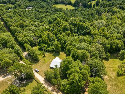Land for sale in Crenshaw County, Alabama