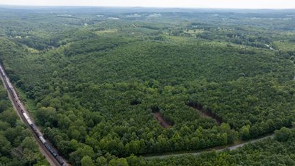 Land for sale in Pittsylvania County, Virginia