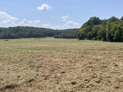 Land for sale in McMinn County, Tennessee