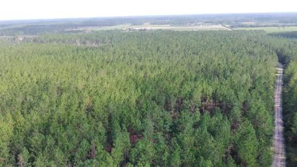 Land for sale in Ware County, Georgia