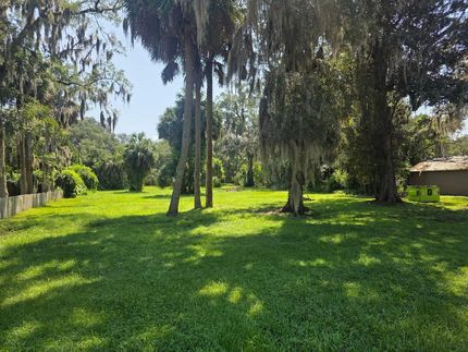 Undeveloped Land for sale in Alachua County, Florida