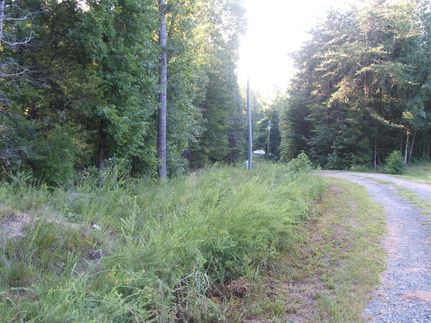 Undeveloped Land for sale in Surry County, Virginia