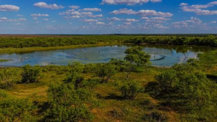 Land for sale in Baylor County, Texas