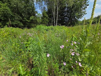 Land for sale in Cayuga County, New York