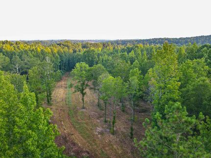 Land for sale in Cullman County, Alabama