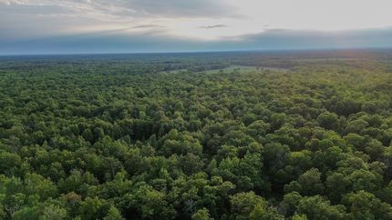 Undeveloped Land for sale in Gladwin County, Michigan