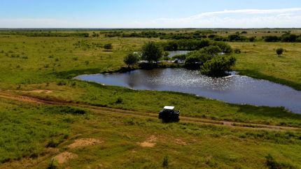 Land for sale in Young County, Texas