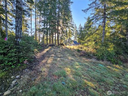 House for sale in Mason County, Washington