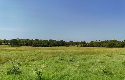 Undeveloped Land for sale in Van Zandt County, Texas
