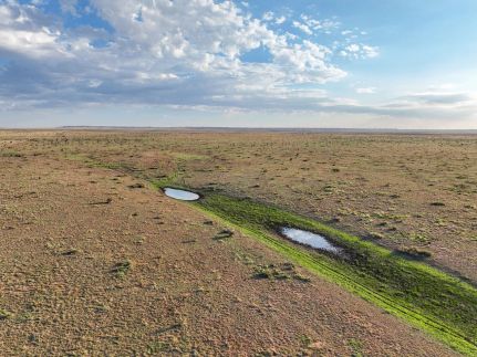 Undeveloped Land for sale in Debaca County, New Mexico