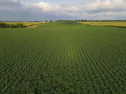 Undeveloped Land for sale in Warren County, Illinois
