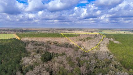 Timberland Property for sale in Geneva County, Alabama