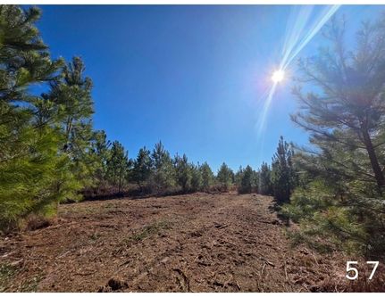Land for sale in Geneva County, Alabama