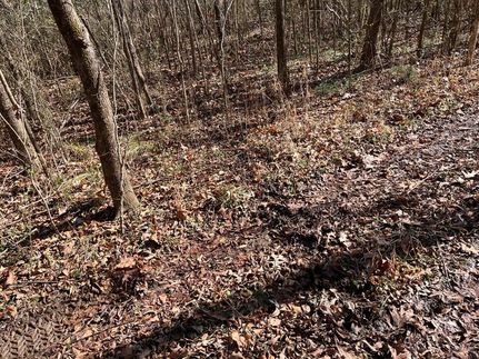 Land for sale in Jackson County, Alabama