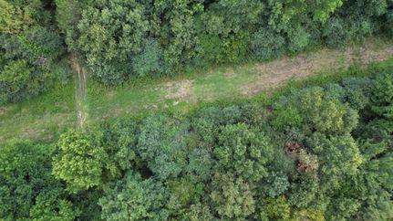 Land for sale in Conway County, Arkansas