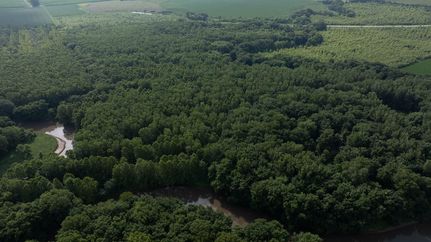 Land for sale in Henderson County, Illinois