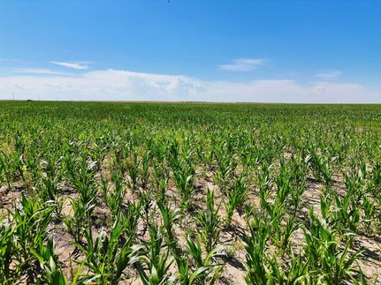 Land for sale in Baca County, Colorado