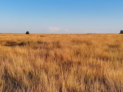 Land for sale in Kearny County, Kansas