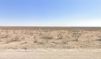 Undeveloped Land for sale in Ward County, Texas