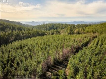 Land for sale in Skamania County, Washington