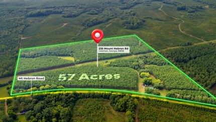 Land for sale in Randolph County, Georgia