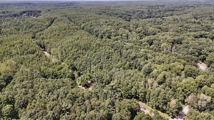 Land for sale in Osceola County, Michigan