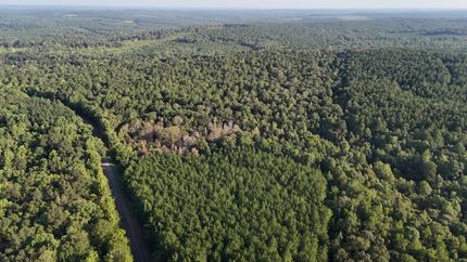 Land for sale in Dale County, Alabama
