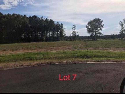 Undeveloped Land for sale in Rapides Parish, Louisiana