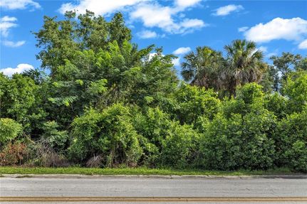 Undeveloped Land for sale in Volusia County, Florida