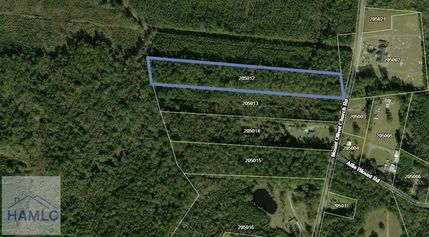 Undeveloped Land for sale in Liberty County, Georgia