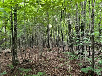 Undeveloped Land for sale in Chippewa County, Michigan