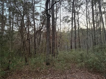 Land for sale in San Jacinto County, Texas