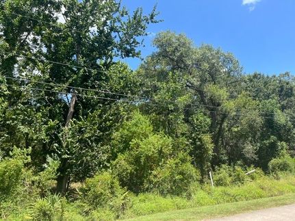 Homesite for sale in Brazoria County, Texas