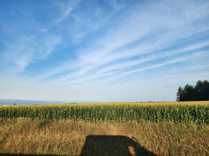 Land for sale in Wood County, Ohio