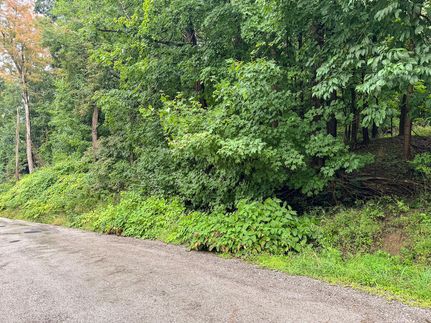 Land for sale in Ohio County, West Virginia