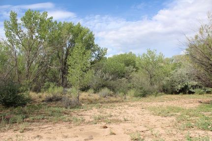 Undeveloped Land for sale in Wayne County, Utah