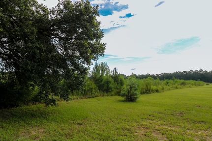 Undeveloped Land for sale in Seminole County, Georgia