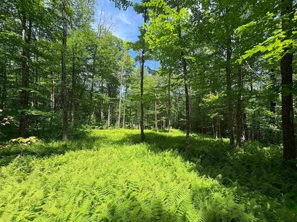 Undeveloped Land for sale in Orleans County, Vermont