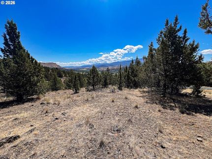 Undeveloped Land for sale in Grant County, Oregon